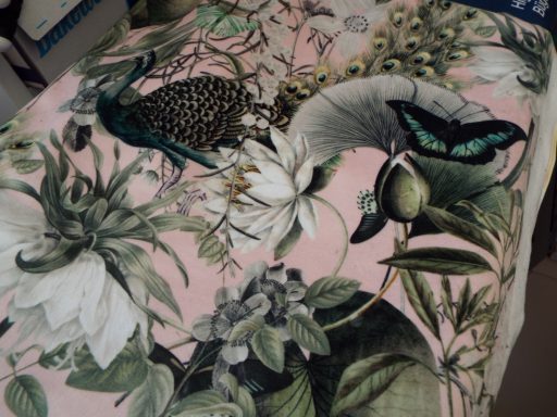 Birds and butterflies